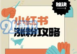 小红书涨粉技巧大公开，快速增加粉丝秘籍