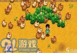 星露谷物语：高效制作鸡饲料指南