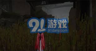 燕云十六声游戏攻略：快速找到达安村掌中宝位置