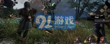 光与影33号远征队推荐配置是什么