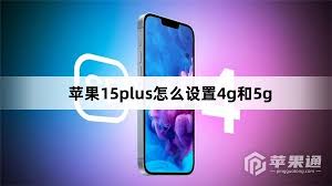 苹果15plus怎么设置4g与5g
