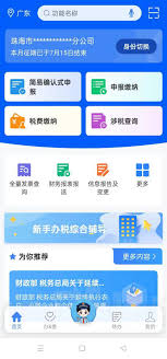 电子税务局怎么申报