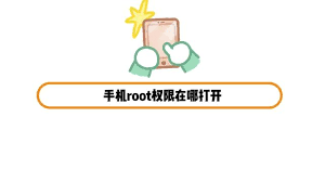 iQOOroot权限在哪里打开