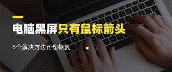 电脑黑屏了但鼠标还能动