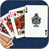 Solitaire Card Games Pro