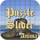 Puzzle Slider Animal Serial