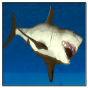 愤怒的鲨鱼3D