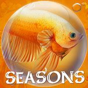 Dream Fish Seasons
