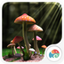 3D蘑菇：梦象动态壁纸