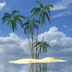 >Palm In Tropical Island Live W