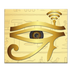 Horus Cam