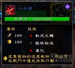 《魔兽世界》宠物对战世界任务