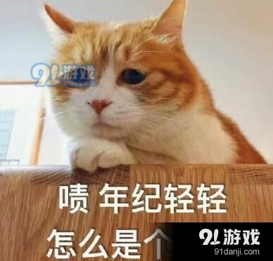 你别是个傻子吧表情包