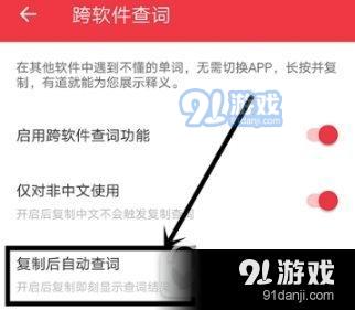 有道词典复制后自动查词怎么开启 有道词典复制后自动查词开启教程2