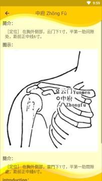 人体穴位详细图解