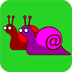 红蜗牛