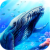 蓝鲸海洋生物模拟3D
