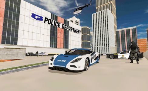 警察司机警察模拟器3D