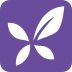 紫色丁香园