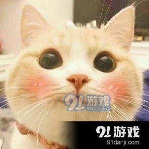 抖音三只猫咪点头gif动图