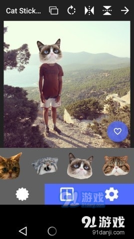 猫头贴纸app