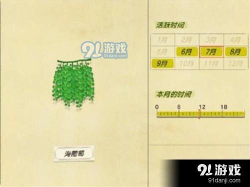 动物之森海洋生物图鉴大全 动物之森海洋生物价格及出现时间汇总