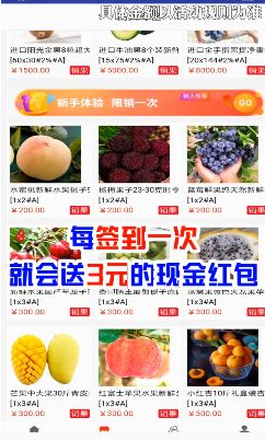 网新商城