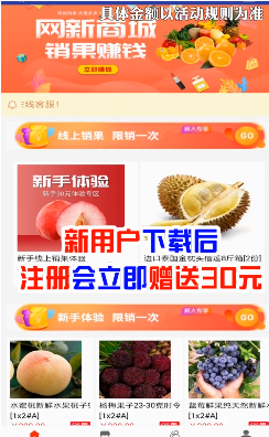 网新商城