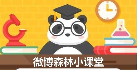 以下关于小熊猫的描述哪一种是错误的7月21日