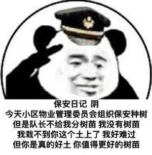 保安在哪里表情包