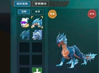 创造与魔法海鳄龙宠物怎么抓