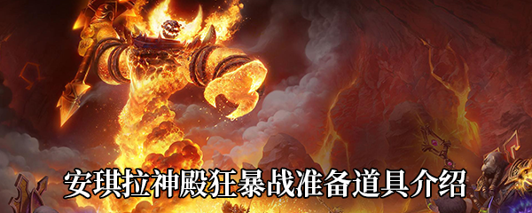 魔兽世界怀旧服安琪拉神殿狂暴战需要哪些药品