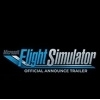 微软飞行模拟2020界面训练课程驾驶仪表汉化补丁