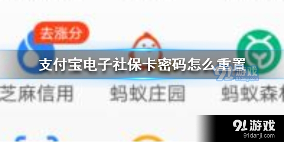 支付宝电子社保卡密码忘了怎么重置