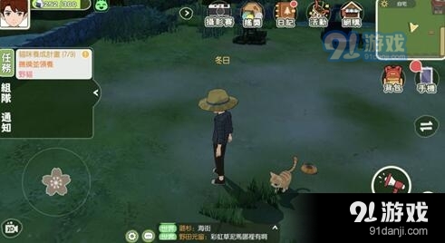 小森生活野猫怎么领养