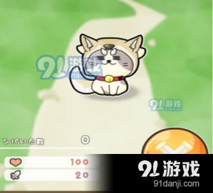 休闲猫.png