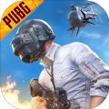 鬼头科技直装最新版(PUBG MOBILE)