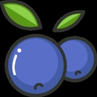 蓝莓素颜安卓版
