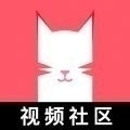 猫咪app视频2024最新版