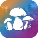 真实采集蘑菇模拟器游戏